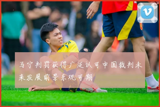 马宁判罚获得广泛认可中国裁判未来发展前景乐观可期